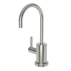 Polished Nickel