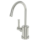 Polished Nickel