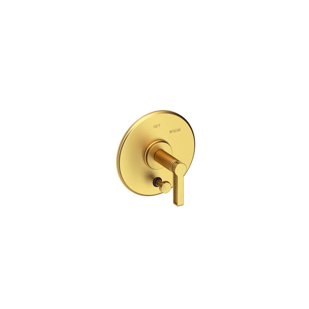 Balanced Pressure Tub & Shower Diverter Plate with Handle - Less Showerhead, Arm and Flange