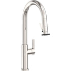 Polished Nickel