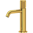 Unlacquered Brass