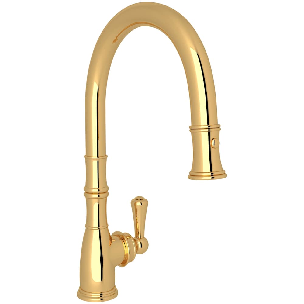 Georgian Era 1.8 GPM Single Hole Pull Down Kitchen Faucet
