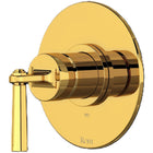 Unlacquered Brass