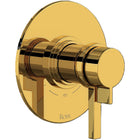Unlacquered Brass