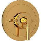 Unlacquered Brass