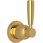 Unlacquered Brass