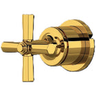 Unlacquered Brass
