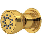 Unlacquered Brass