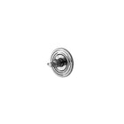 Polished Nickel