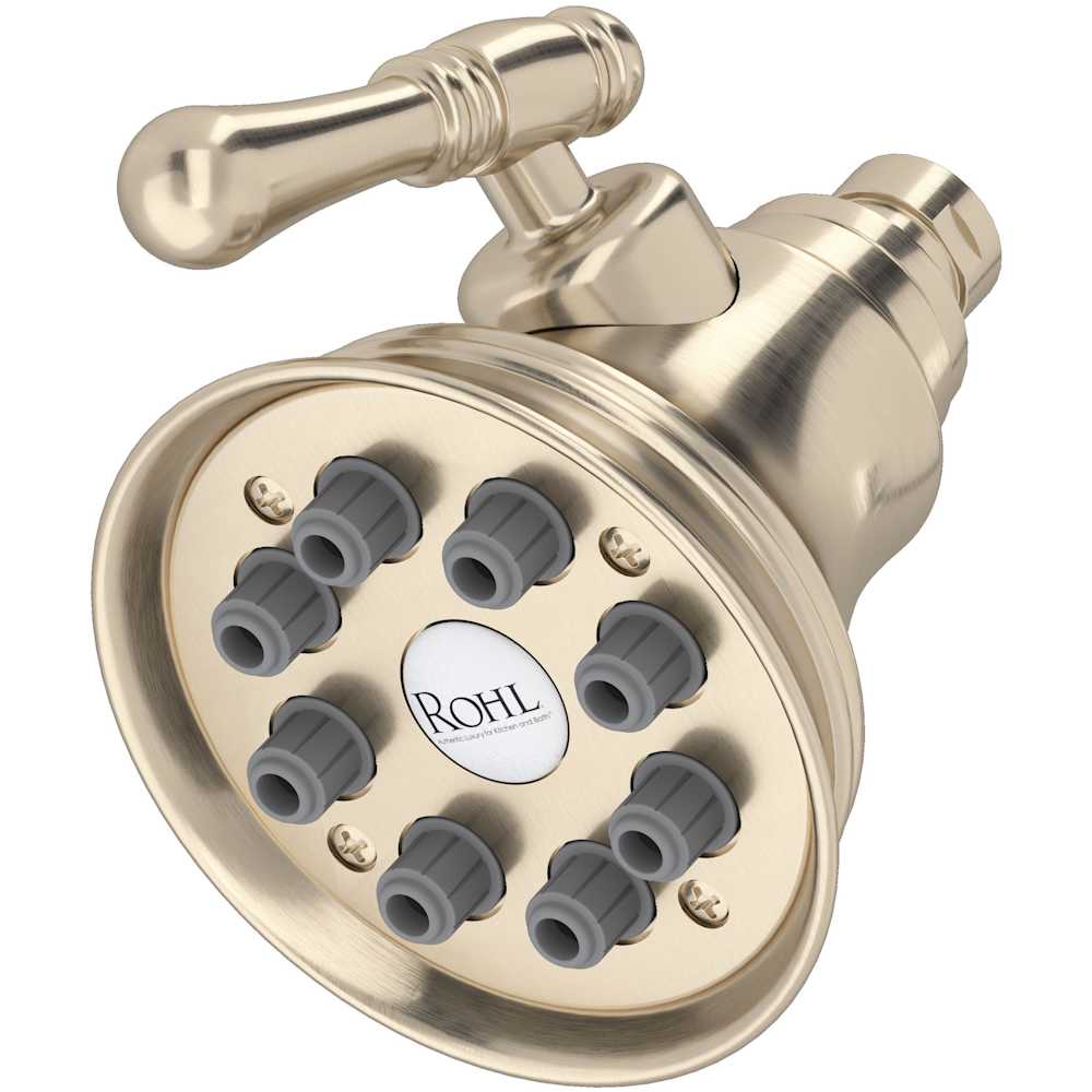 Mantova 1.8 GPM Multi Function Rain Shower Head