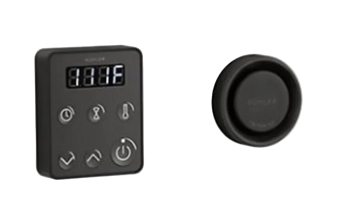 Invigoration Steam Generator Control Unit with Fast-Response and Power Clean